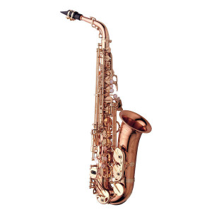 Saxofone Alto YANAGISAWA AWO37PG